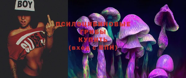 трава Зерноград