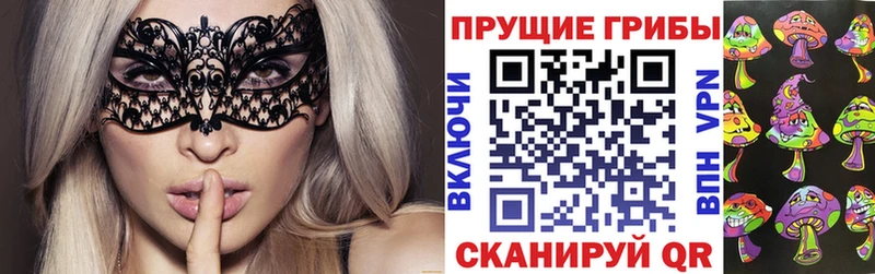 наркота  Цоци-Юрт  Псилоцибиновые грибы мицелий 