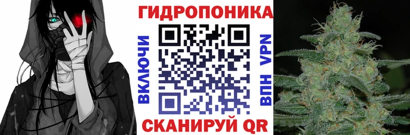 купить наркотики цена  Цоци-Юрт  Бошки Шишки гибрид 